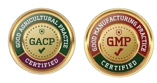 AACP & GMP Licenced thai cannabis seler for wholesale