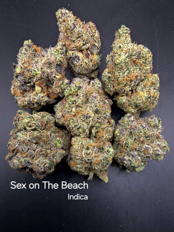 Sex on the Beach aka SOTB - Weed Strain - Koh Kood Island